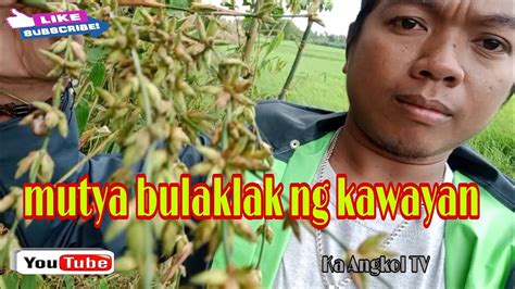 pang pa swerte sa sugal|MGA MUTYA SA SUGAL .
